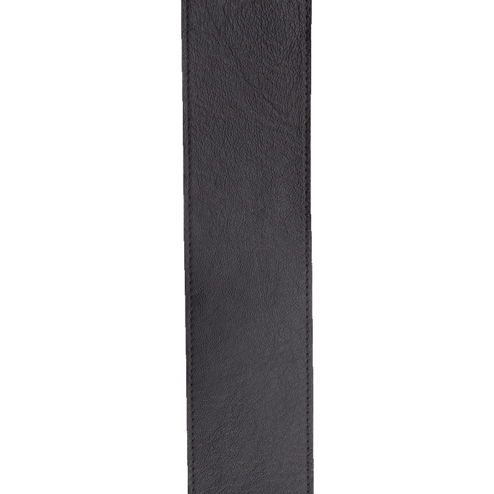 Hlavní obrázek Kožené/koženkové D'ADDARIO 30BAL00