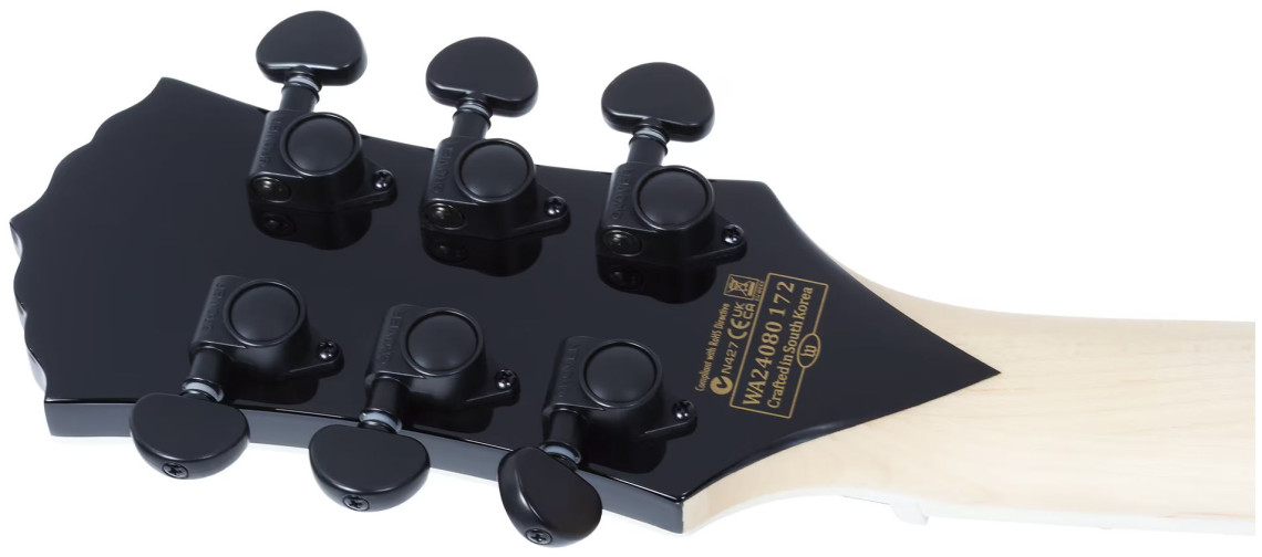 Hlavní obrázek Hard&heavy SCHECTER Wylde Audio Barbarian Carveworks - Natural Satin