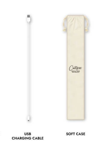 Hlavní obrázek Syntezátory/Samplery/Moduly CARRY-ON Digital Wind Instrument - White