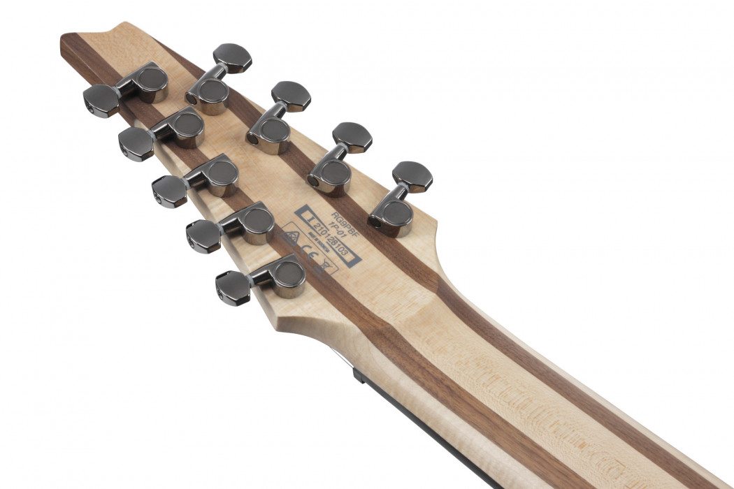 Hlavní obrázek 8strunné a další IBANEZ RG9PB-TGF - Transparent Gray Flat