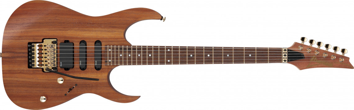 Hlavní obrázek Superstrat IBANEZ RG6PKAG-NTF RG Premium - Natural Flat