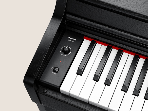 Hlavní obrázek Digitální piana DONNER DDP-100 - Black