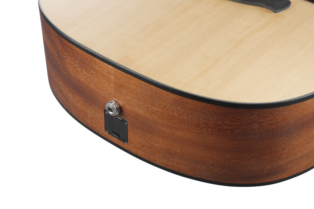 Hlavní obrázek Dvanáctistrunné IBANEZ AAD1012E-OPN - Open Pore Natural