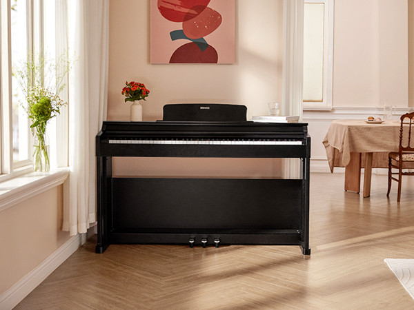 Hlavní obrázek Digitální piana DONNER DDP-100 - Black