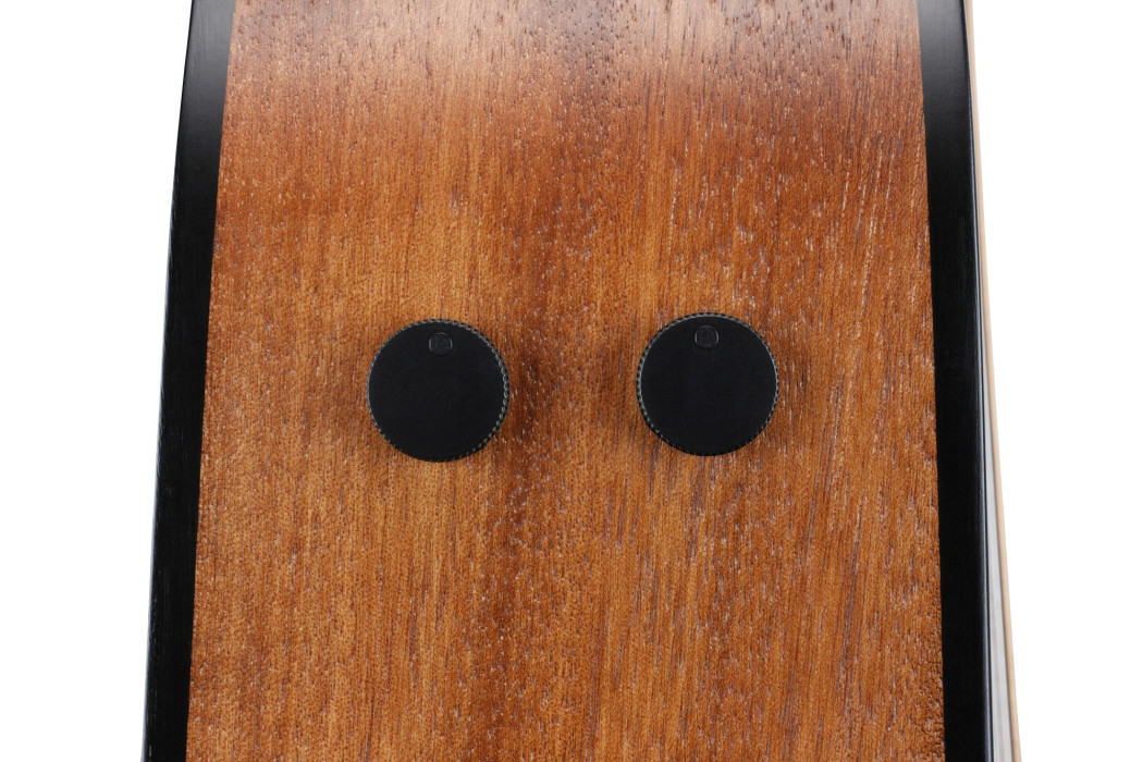 Hlavní obrázek Dvanáctistrunné IBANEZ AAD1012E-OPN - Open Pore Natural