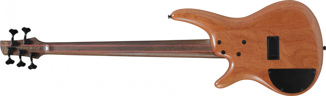 Hlavní obrázek 5strunné IBANEZ SR5FMDX2-NTL - Natural Low Gloss