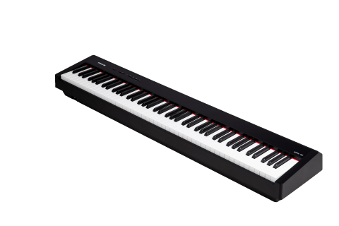 Hlavní obrázek Stage piana NUX NPK-10 - Black