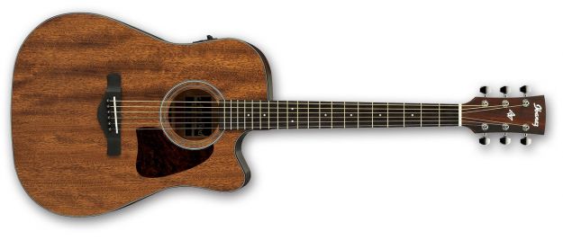 Hlavní obrázek Dreadnought IBANEZ AW54CE Open Pore Natural