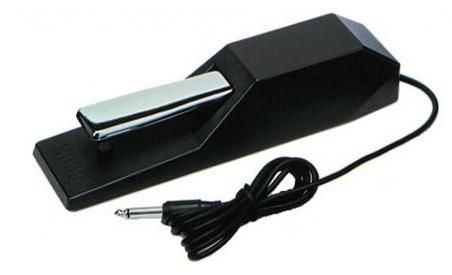 Hlavní obrázek Pedály KORG DS-1H