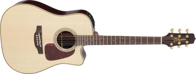 Hlavní obrázek Dreadnought TAKAMINE P5DC Natural