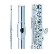 Hlavní obrázek Příčné flétny PEARL FLUTE 765RE - Příčná C flétna