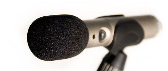 Hlavní obrázek Protivětrné ochrany na mikrofony RODE WS3