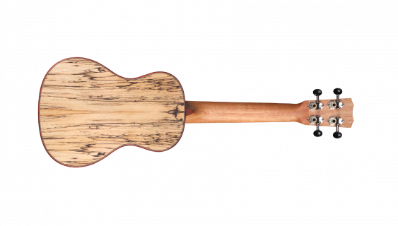 Hlavní obrázek Akustické kytary a ostatní CORDOBA 24C Spruce - Natural