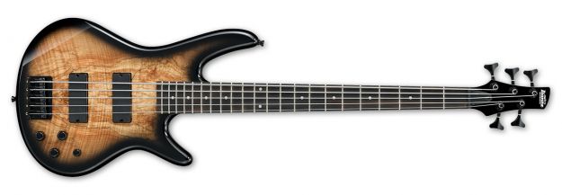 Hlavní obrázek 5strunné IBANEZ GSR205SM Natural Gray Burst