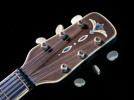 Hlavní obrázek Kytary Cremona 463