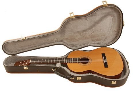 Hlavní obrázek Tvrdá pouzdra YAMAHA Case APX