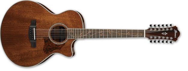 Hlavní obrázek Dvanáctistrunné IBANEZ AE2412 Natural