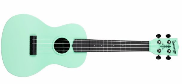 Hlavní obrázek Koncertní KALA Waterman Concert Ukulele Sea Foam Green