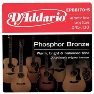 Hlavní obrázek Pro akustickou baskytaru D'ADDARIO EPBB170-5