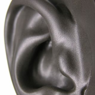 Hlavní obrázek Měřící mikrofony NEUMANN KU100