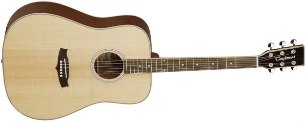 Hlavní obrázek Dreadnought TANGLEWOOD TW28, akustická kytara
