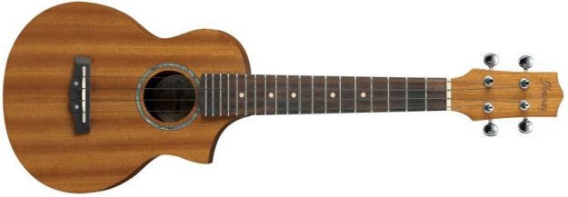 Hlavní obrázek Ostatní IBANEZ UEW5 Open Pore Natural