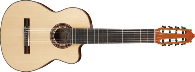 Hlavní obrázek 4/4 IBANEZ G208CWC Natural