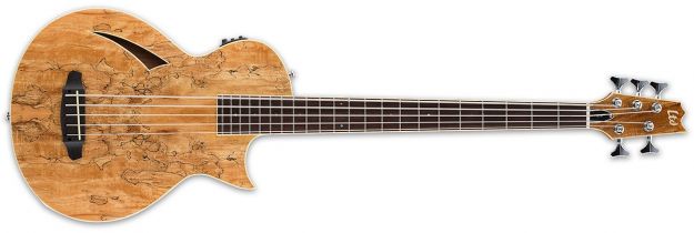 Hlavní obrázek Akustické baskytary LTD-ESP TL-5SM Natural