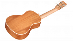 Galerijní obrázek č.2 Akustické kytary a ostatní CORDOBA 15CM Matiz - Mint