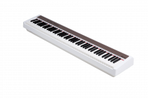 Galerijní obrázek č.1 Klávesy NUX NPK-10 - White