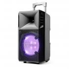 Galerijní obrázek č.1 Párty All-in-one systémy ION Power Glow 300