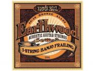 ERNIE BALL 2061 5-string Earthwood Banjo Frailing 80/20 - .010 - .010