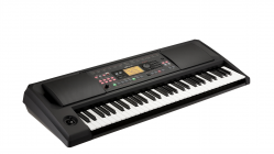 Galerijní obrázek č.3 Keyboardy s dynamikou KORG EK-50 L