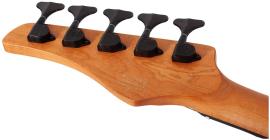 Galerijní obrázek č.5 5strunné SCHECTER C-5 Standard - Tobacco Burl