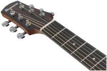 Galerijní obrázek č.3 Dreadnought IBANEZ AAD51CE-NT - Natural High Gloss