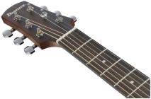 Galerijní obrázek č.3 Dreadnought IBANEZ AAD54E-OMH - Open Pore Mahogany Sunburst