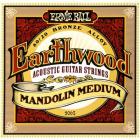 ERNIE BALL 5-string Earthwood Mandolin Medium 80/20 - .010 - .036