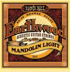ERNIE BALL 2067 5-string Earthwood Mandolin Medium 80/20 - .009 - .034