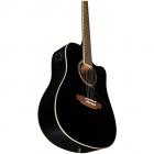 Galerijní obrázek č.2 Dreadnought EKO Ranger CW EQ - Black
