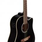 Galerijní obrázek č.3 Dreadnought EKO Ranger CW EQ - Black