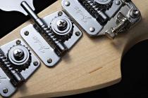 Galerijní obrázek č.2 PB modely FENDER Tony Franklin Fretless Precision Bass®, Ebony Fingerboard, 3-Color Sunburst