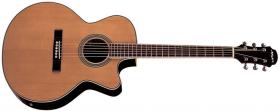 ARIA ASP 100 CE N