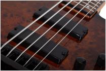 Galerijní obrázek č.2 5strunné SCHECTER C-5 Standard - Tobacco Burl