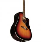 Galerijní obrázek č.3 Dreadnought EKO Ranger CW EQ - Brown Sunburst