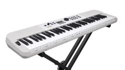 Galerijní obrázek č.4 Keyboardy s dynamikou NUX NEK-110