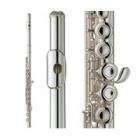 Galerijní obrázek č.1 Příčné flétny PEARL FLUTE 505E - Příčná C flétna