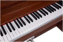Galerijní obrázek č.6 Digitální piana HENRY’S Amber DPA100 - Dark Wood Natural