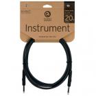 PLANET WAVES PW-CGT20