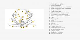 Galerijní obrázek č.2 Nářadí LEATHERMAN SURGE BLACK