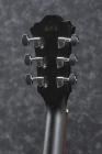 Galerijní obrázek č.4 Další tvary IBANEZ AE295-WK - Weathered Black